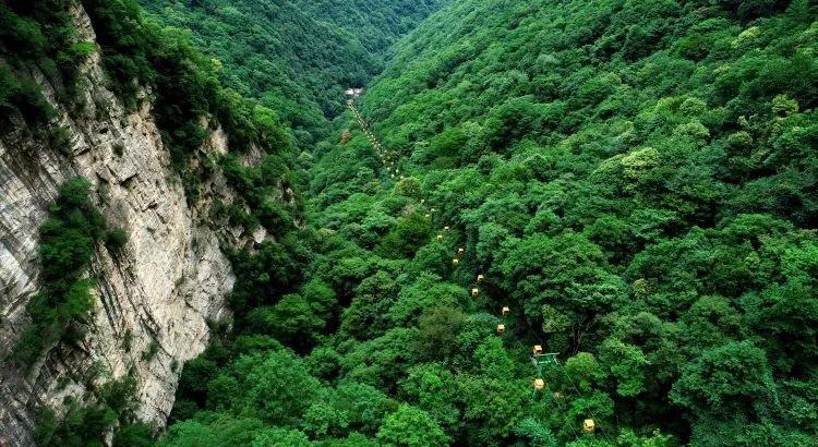 一顿浪漫晚餐
